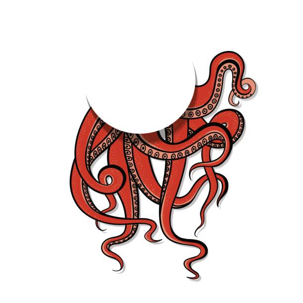 vector illustration kunst rote tentakeln der monster-krake. zeichnung gruselig kopffüßer weichtier. das design-element auf den meeres-themenpark, emblem oder logo - molluscum contagiosum virus stock-grafiken, -clipart, -cartoons und -symbole