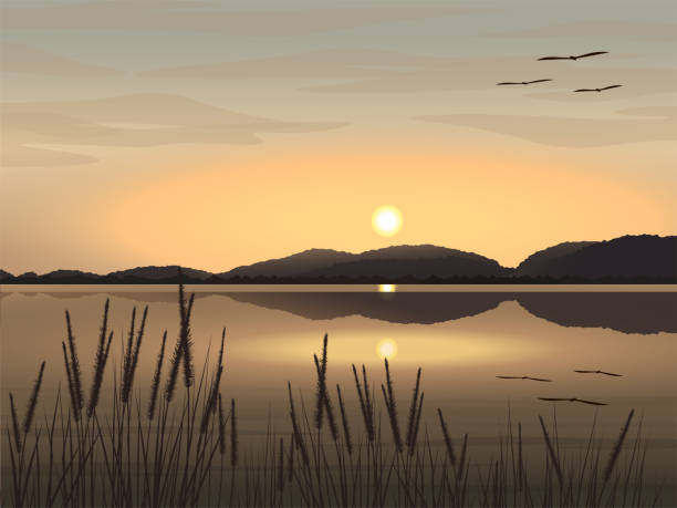 Vector illustration Beautiful natural landscape image of lake, mountains, evening sky The sun is setting, grass and birds flying. Vector illustration Beautiful natural landscape image of lake, mountains, evening sky The sun is setting, grass and birds flying. river silhouettes stock illustrations