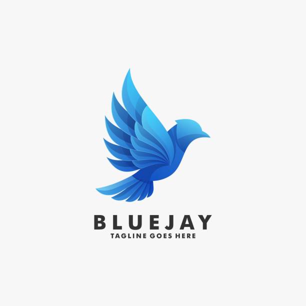 Vector Illustration Blue Jay Gradient Colorful Style. Vector Illustration Blue Jay Gradient Colorful Style. bird symbols stock illustrations