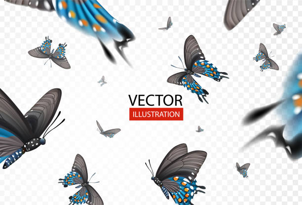 Vector illustration butterflies isolated on transparent background. Collection set of colorful butterflies for logo. Valentine's day or spring sale print design.  Wedding card and decoration concept. Vector illustration butterflies isolated on transparent background. Collection set of colorful butterflies. Valentine's day or spring sale print design.  Wedding card and decoration concept. pink monarch butterfly stock illustrations