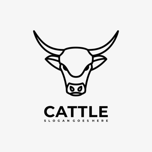 Vector Illustration Cattle Head Line Art Style.  bull animal stock illustrations