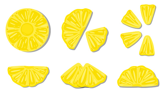 vector illustration close up top view of fresh ingredient sliced. pineapple,