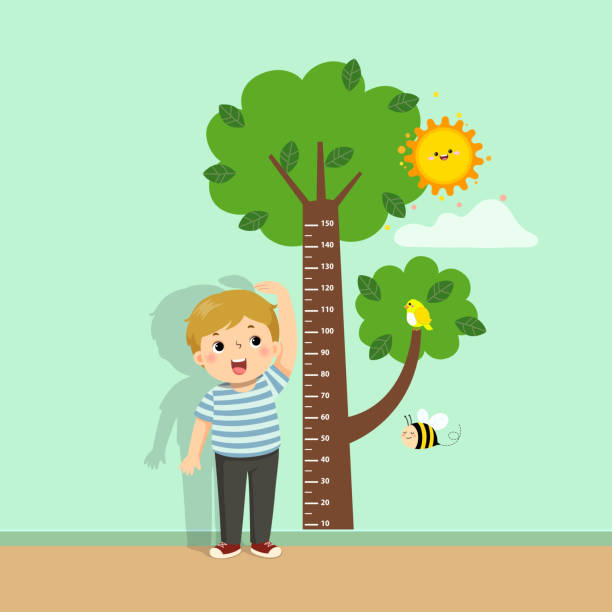 Vector illustration cute cartoon boy measuring his height with tree height chart on the wall.  tall boy stock illustrations