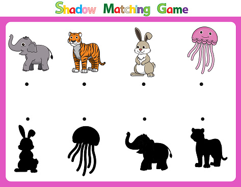 Vector illustration for learning  shadow of different shapes. For children witch  4 cartoon images Elephant, Tiger, Rabbit, Jellyfish .