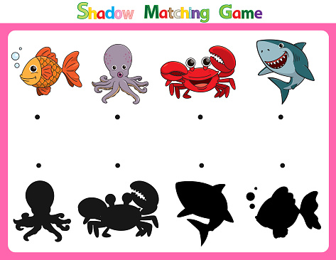 Vector illustration for learning  shadow of different shapes. For children witch  4 cartoon images Fish, Octopus, Crab, Shark.