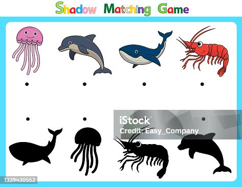 istock Vector illustration for learning  shadow of different shapes. For children witch  4 cartoon images Jellyfish, Dolphin, Whale, Shrimp. 1339430552