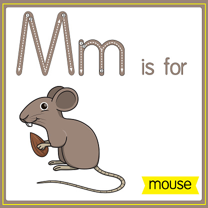 Vector illustration for learning the alphabet For children with cartoon images. Letter M is for mouse.