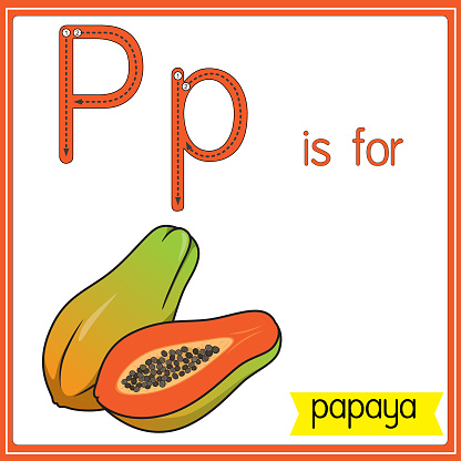 Vector illustration for learning the alphabet For children with cartoon images. Letter P is for papaya.