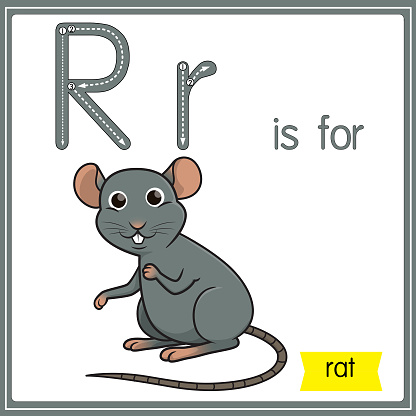 Vector illustration for learning the alphabet For children with cartoon images. Letter R is for rat.