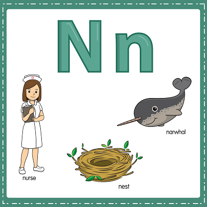 Vector illustration for learning the letter N in both lowercase and uppercase for children with 3 cartoon images. Nurse Nest Narwhal.