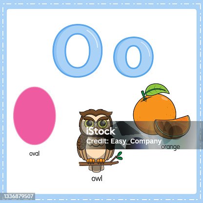 istock Vector illustration for learning the letter O in both lowercase and uppercase for children with 3 cartoon images. Oval Owl Orange. 1336879507
