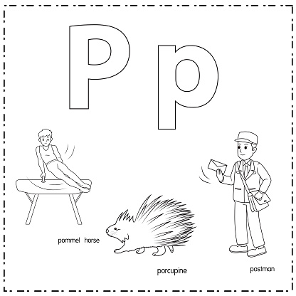 Vector illustration for learning the letter P in both lowercase and uppercase for children with 3 cartoon images. Pommel Horse Porcupine Postman.