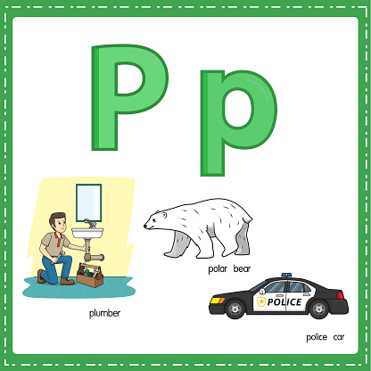 Vector illustration for learning the letter P in both lowercase and uppercase for children with 3 cartoon images. Plumber Polar Bear Police Car.