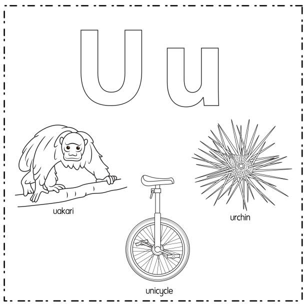 Uakari Monkey Illustrations, Royalty-Free Vector Graphics & Clip Art ...