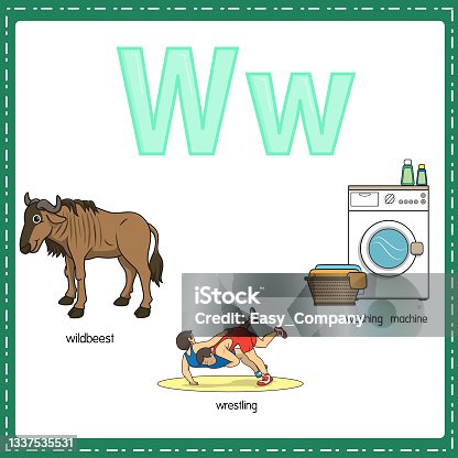 istock Vector illustration for learning the letter W in both lowercase and uppercase for children with 3 cartoon images. Wildbeest  Wrestling Washing machine. 1337535531