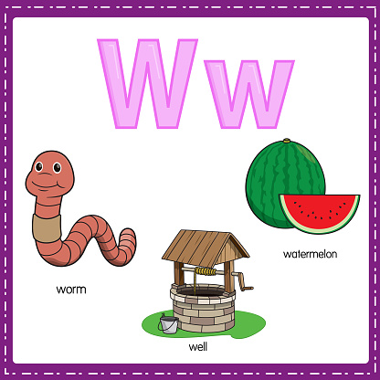 Vector illustration for learning the letter W in both lowercase and uppercase for children with 3 cartoon images. Worm Well Watermelon.