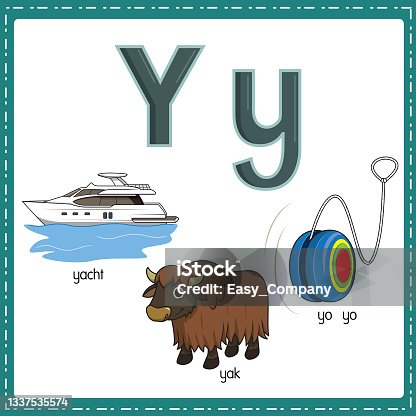 istock Vector illustration for learning the letter Y in both lowercase and uppercase for children with 3 cartoon images. Yacht Yak Yo yo. 1337535574