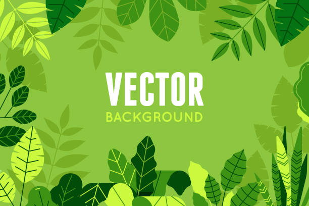 Vector illustration in trendy flat and linear style Vector illustration in trendy flat and linear style - background with copy space for text - green plants and leaves gardening borders stock illustrations