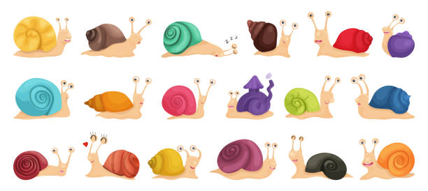 Vector illustration of a big collection of snail characters in cartoon style. Set of multicolored emotional, happy, smiling, funny snails for kids design or speed  snail stock illustrations