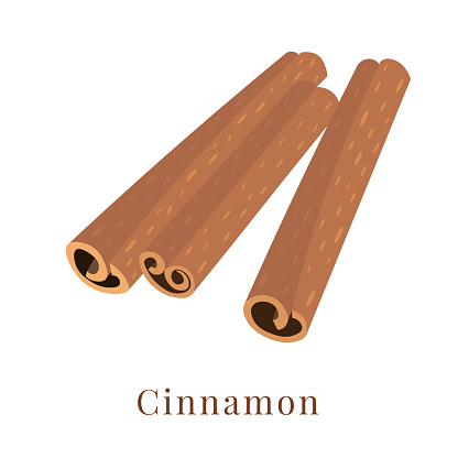 Vector illustration of a cinnamon isolated on a white background.