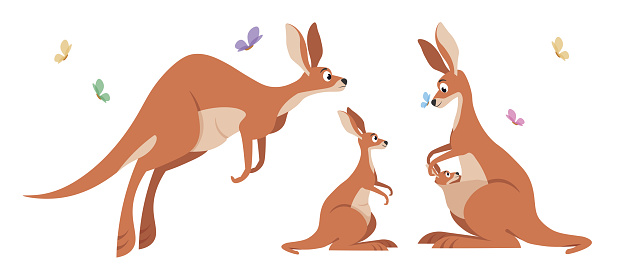 Vector illustration of a cute and beautiful family kangaroo on white background. Charming characters in different poses with jumping, looking at mother, sitting in a bag cartoon style.