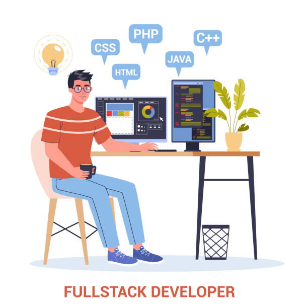Vector illustration of a full stack developer working on computer. vector art illustration