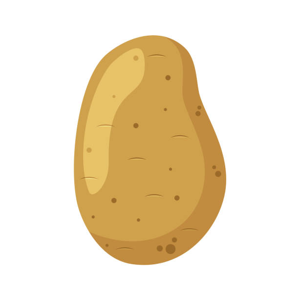 Vector illustration of a funny potato in cartoon style. Vector illustration of a funny potato in cartoon style. prepared potato stock illustrations