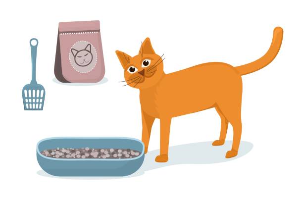 vector illustration of a red cat standing next to a cat toilet and a bag of filler, isolated on a white background vector illustration of a red cat standing next to a cat toilet and a bag of filler, isolated on a white background kitten litter stock illustrations