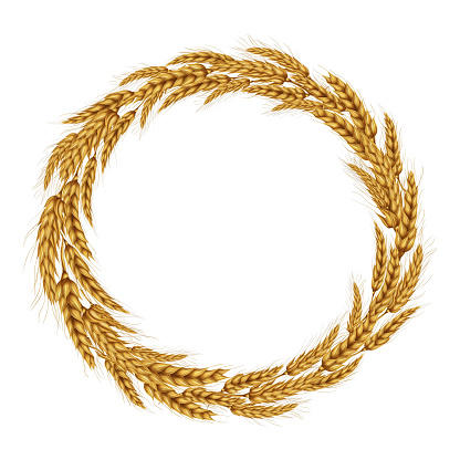 Vector illustration of a wreath of wheat spikelets.