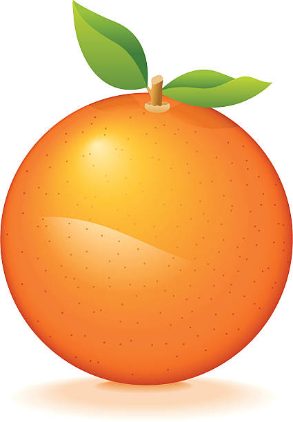 Best Tangerine Illustrations Royalty Free Vector Graphics Best Tangerine Illustrations Royalty Free Vector Graphics