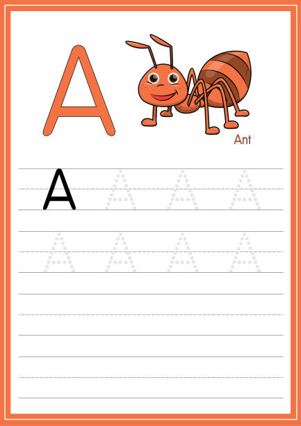 Vector illustration of Ant isolated on a white background. With the capital letter A for use as a teaching and learning media for children to recognize English letters Or for children to learn to write letters Used to learn at home and school. Vector illustration of Ant isolated on a white background. With the capital letter A for use as a teaching and learning media for children to recognize English letters Or for children to learn to write letters Used to learn at home and school. ant clipart pictures stock illustrations