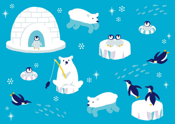 stockillustraties, clipart, cartoons en iconen met de illustratie van de vector van antarctische dieren - ice swimming