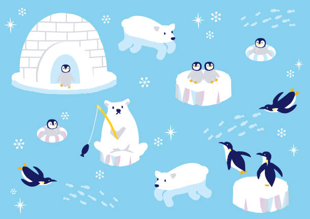 stockillustraties, clipart, cartoons en iconen met de illustratie van de vector van antarctische dieren - ice swimming