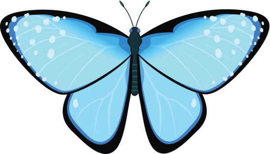 Vector illustration of Blue butterfly