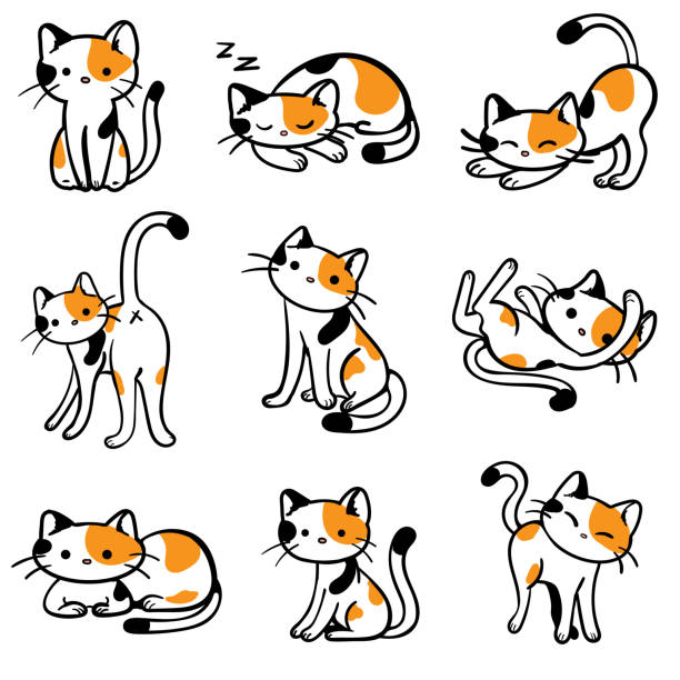 Calico Cat Illustrations, Royalty-Free Vector Graphics & Clip Art - iStock