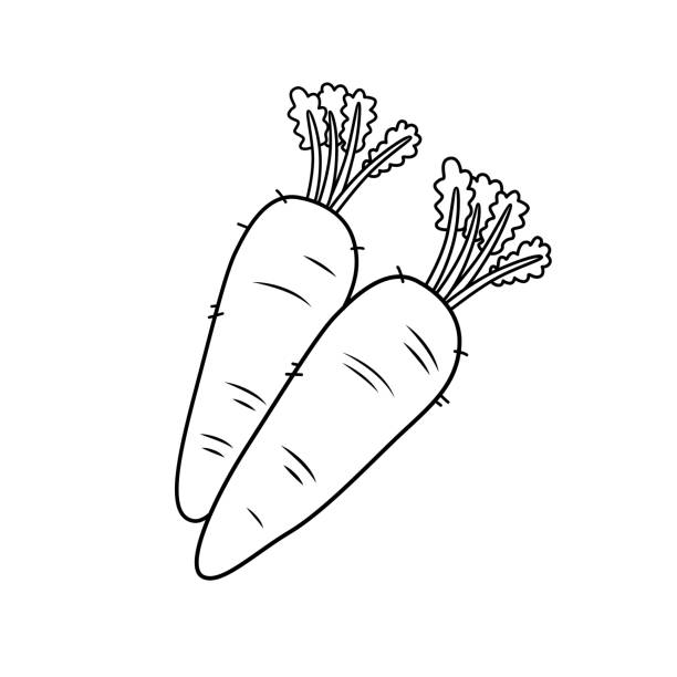 481 Carrot Coloring Page Illustrations Royalty Free Vector Graphics Clip Art Istock