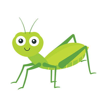 vector illustration of cartoon grasshopper isolated on white