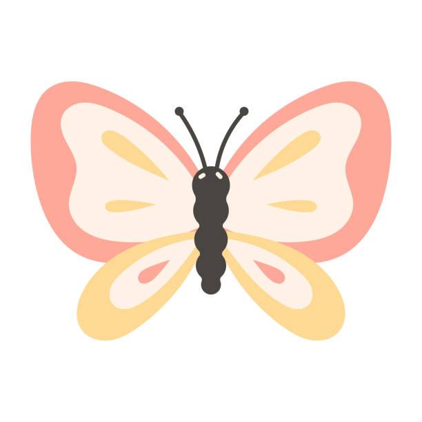 Vector illustration of cartoon pink isolated butterfly. Vector illustration of cartoon butterfly isolated on white. butterfly fairy flower white background stock illustrations