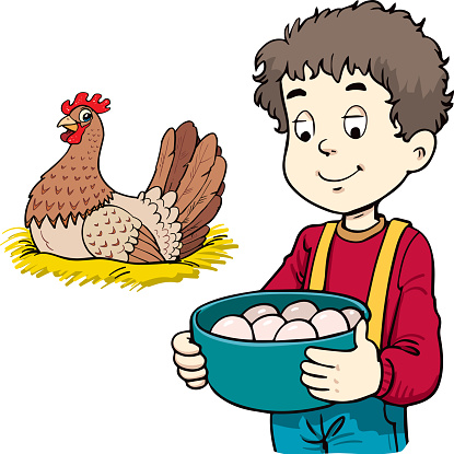 A vector illustration of child collecting eggs from the farm