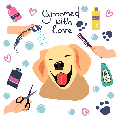 ベクトル愛で手書き句が Groomed とシャンプー泡風呂のかわいい犬のイラスト 犬のベクターアート素材や画像を多数ご用意 Istock