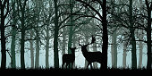 Vector illustration of deer and hind standing on grass in green forest without leaves with branches