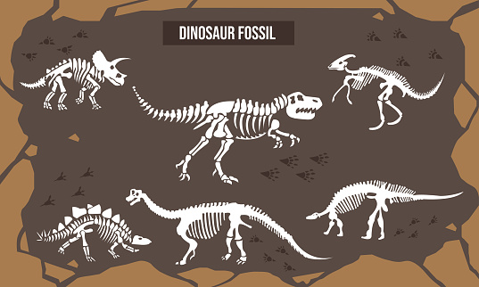 Vector Illustration of Dinosaur fossil