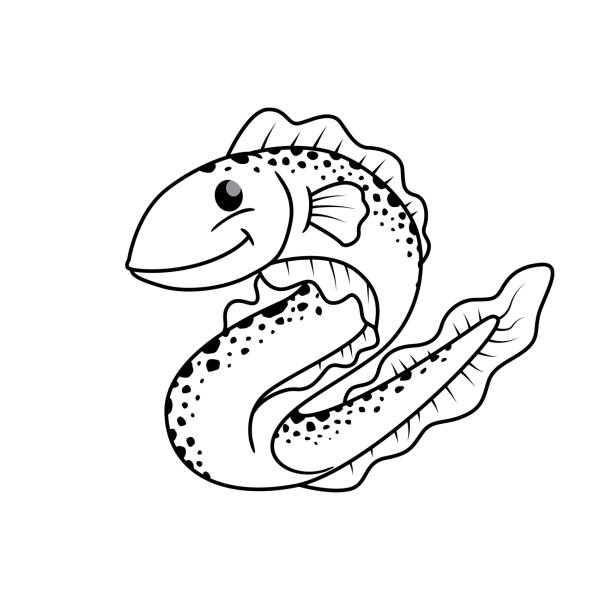 흰색 배경에 고립 된 뱀장어의 벡터 그림. 아이 색칠 공부 책. - 전기뱀장어 stock illustrations