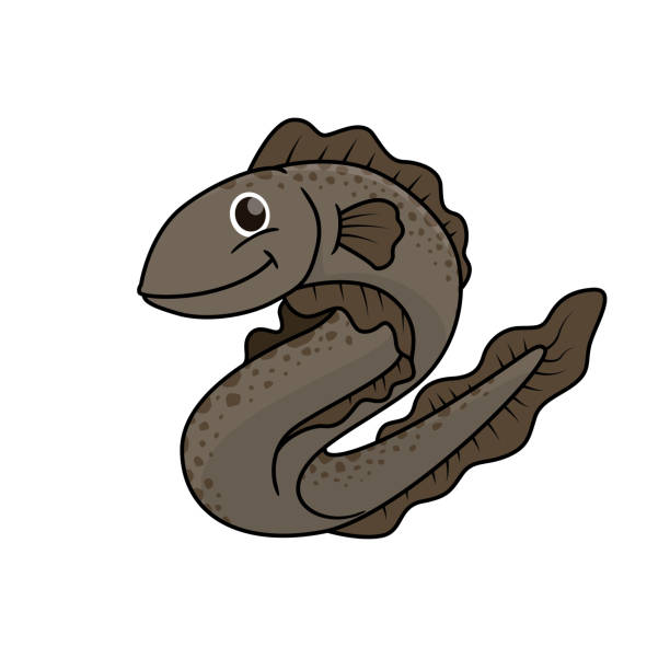 흰색 배경에 고립 된 뱀장어의 벡터 그림. - 전기뱀장어 stock illustrations