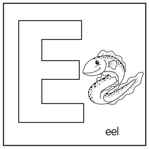 알파벳 문자 d 어퍼 케이스 또는 어린이 학습 연습 abc에 대 한 대 문자와 장어의 벡터 그림 - 전기뱀장어 stock illustrations
