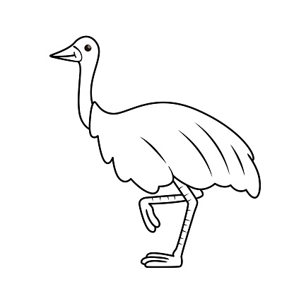 Vector Illustration Of Emu Isolated On White Background