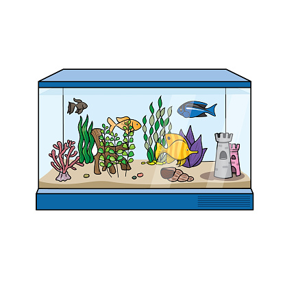 Vector illustration of fish tank or aquarium cartoon images for kids This is a vector illustration for preschool and home training for parents and teachers.