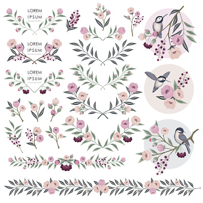 Vector illustration of floral collection