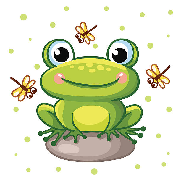 Vector illustration of frog on a rock. Vector illustration of a frog on a rock and crystals on a background of green peas. Cute frog sitting on a rock and smiling. cute frog stock illustrations