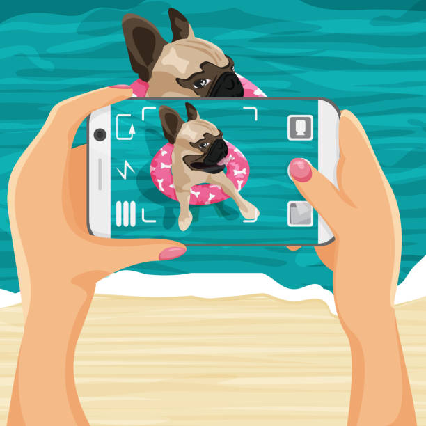 Vector illustration of girl taking a photo of dog Vector illustration of girl taking a photo of dog in cartoon flat style. Pet photographer picturing french bulldog in rubber ring in the ocean with phone camera. Beach daily scene, vacations concept animal themes photos stock illustrations